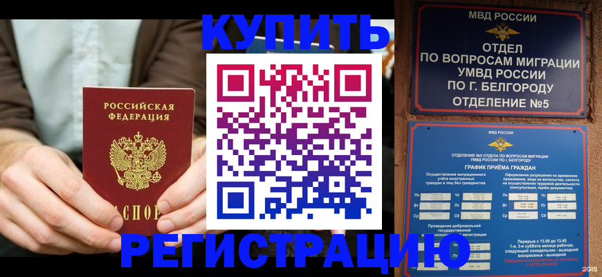 прописка 2025 в Ивантеевке